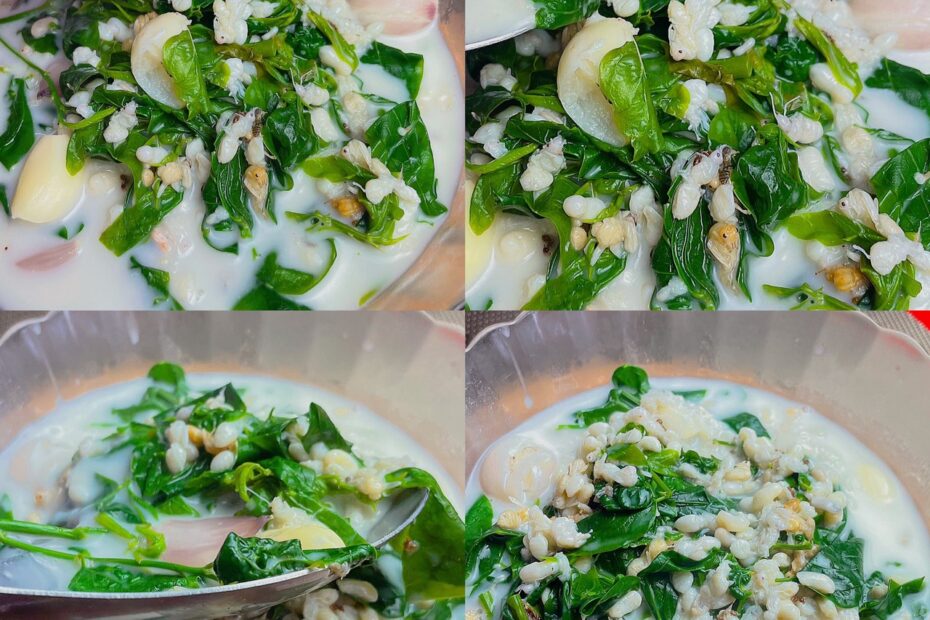 ต้มกะทิไข่มดแดง